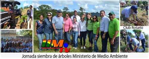 medioambienteSIEMBRAarbol-HMTV-Actividades-con-imagenes