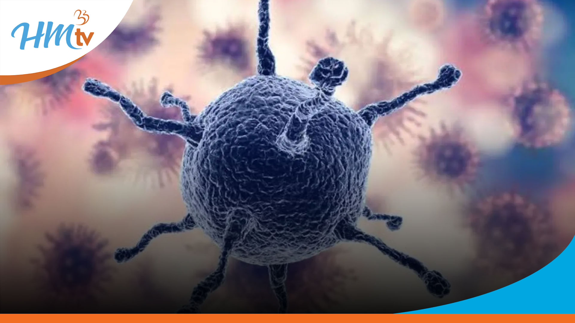 El 12 % de los cánceres a nivel mundial está relacionado con infecciones